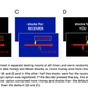 Image for article titled Electric Shock Study Shows We'd Rather Hurt Ourselves Than Strangers